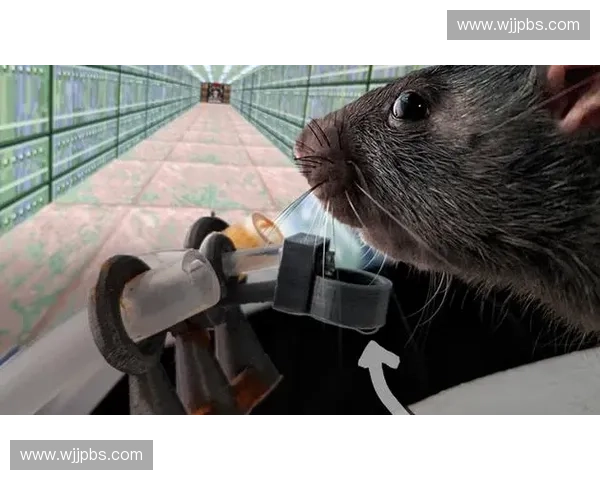 LOL老鼠直播爆笑名场面全程高能操作秀翻全场精彩不断 LOL老鼠直播爆笑名场面全程高能操作秀翻全场精彩不断